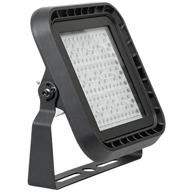 Profesionalni LED reflektor, s mogućnošću prigušivanja, 1-10 V DC, 100W, 5000K, 60°, 220V-240V AC, IP66